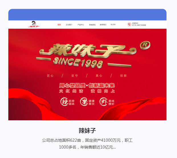 怎么判斷一個公司做網站建設的專業程度